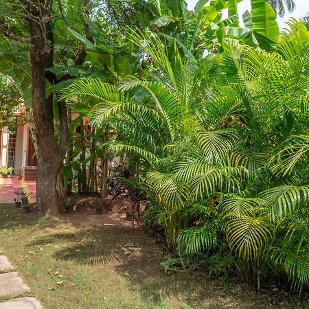 Martinet Vagator Guest House Εξωτερικό φωτογραφία